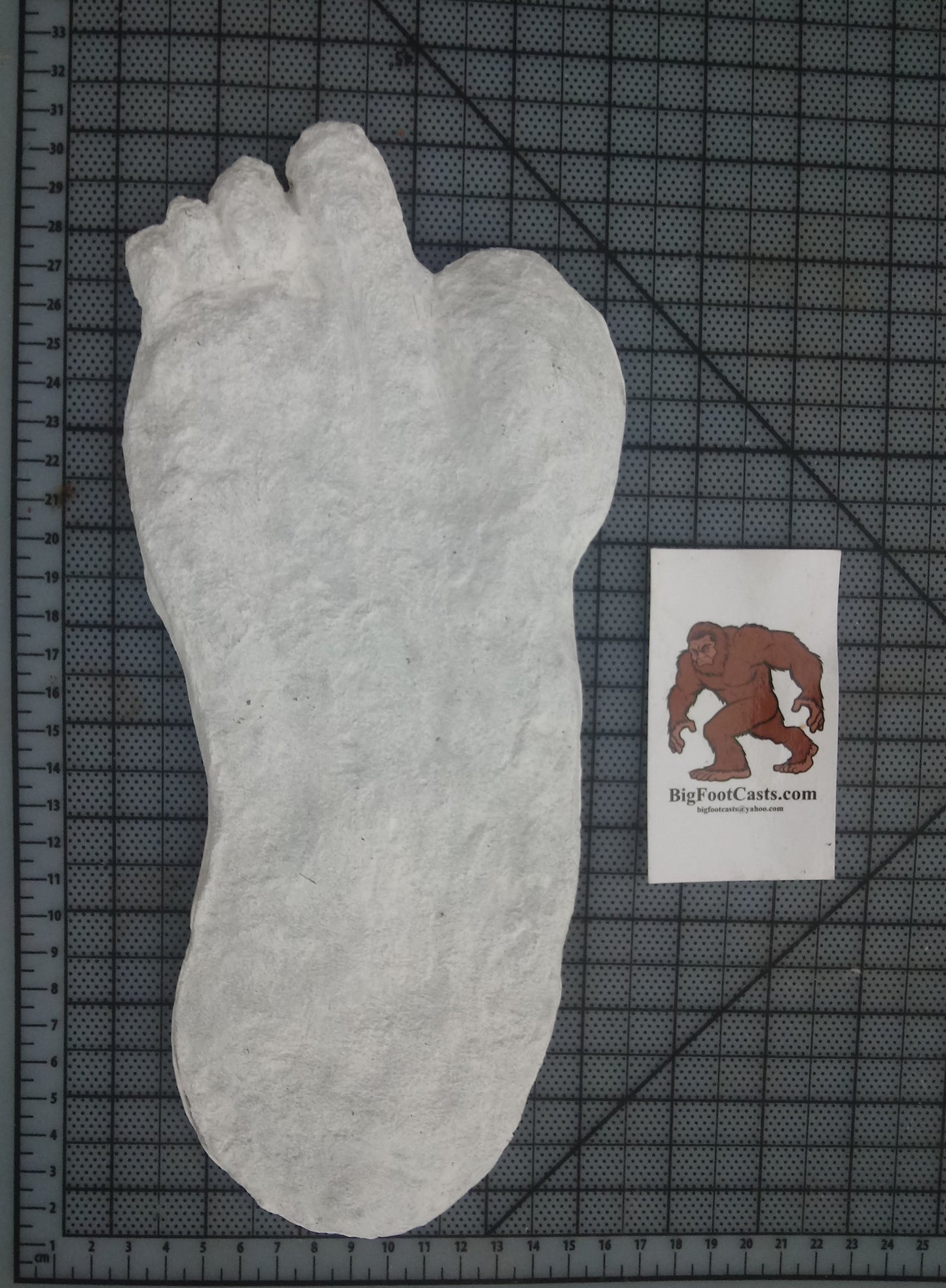1951 Yeti #2 footprint cast replica track