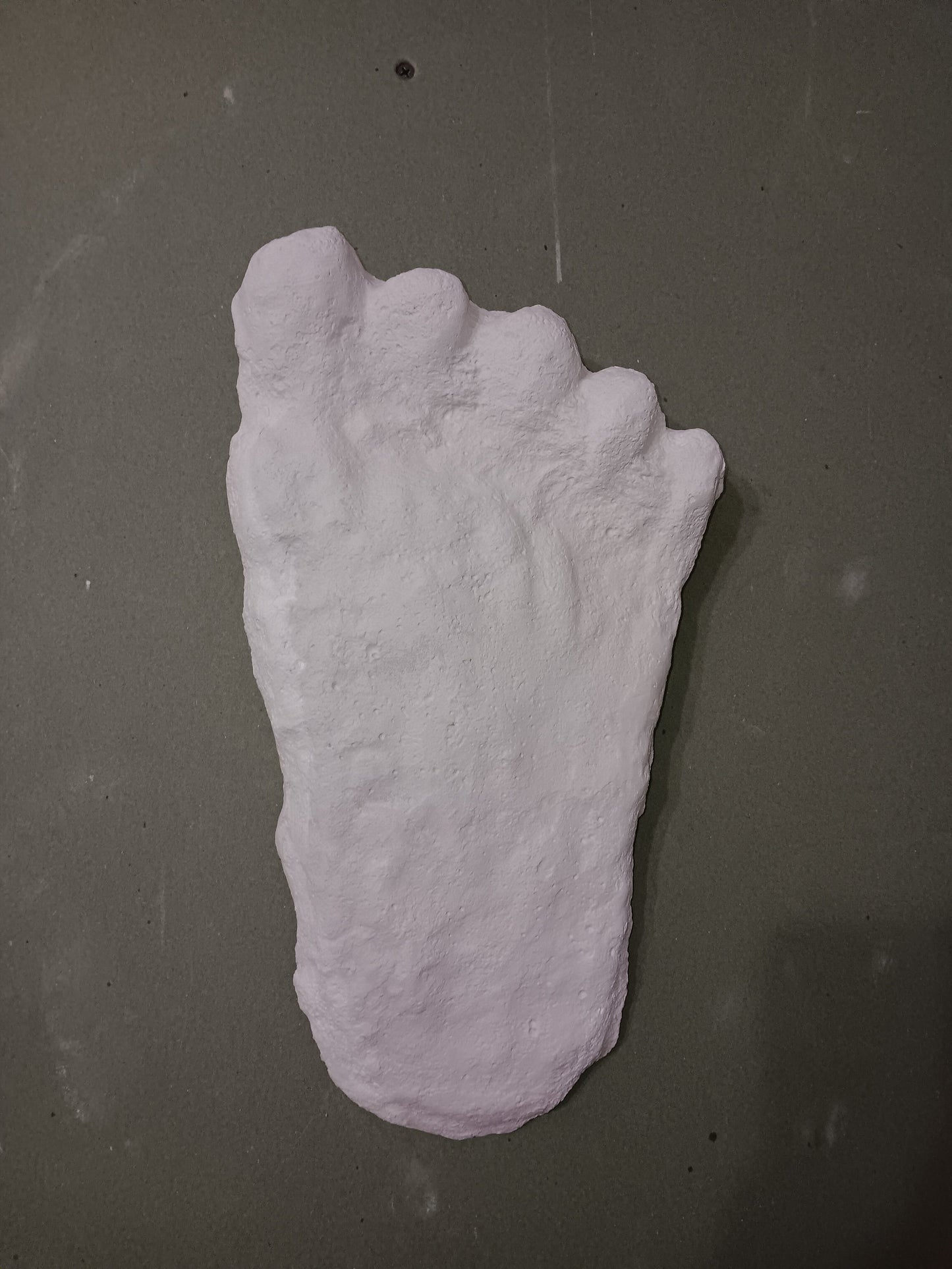 1960 Bigfoot cast Peter Byrne Bigfoot print cast (Byrne not Burn)