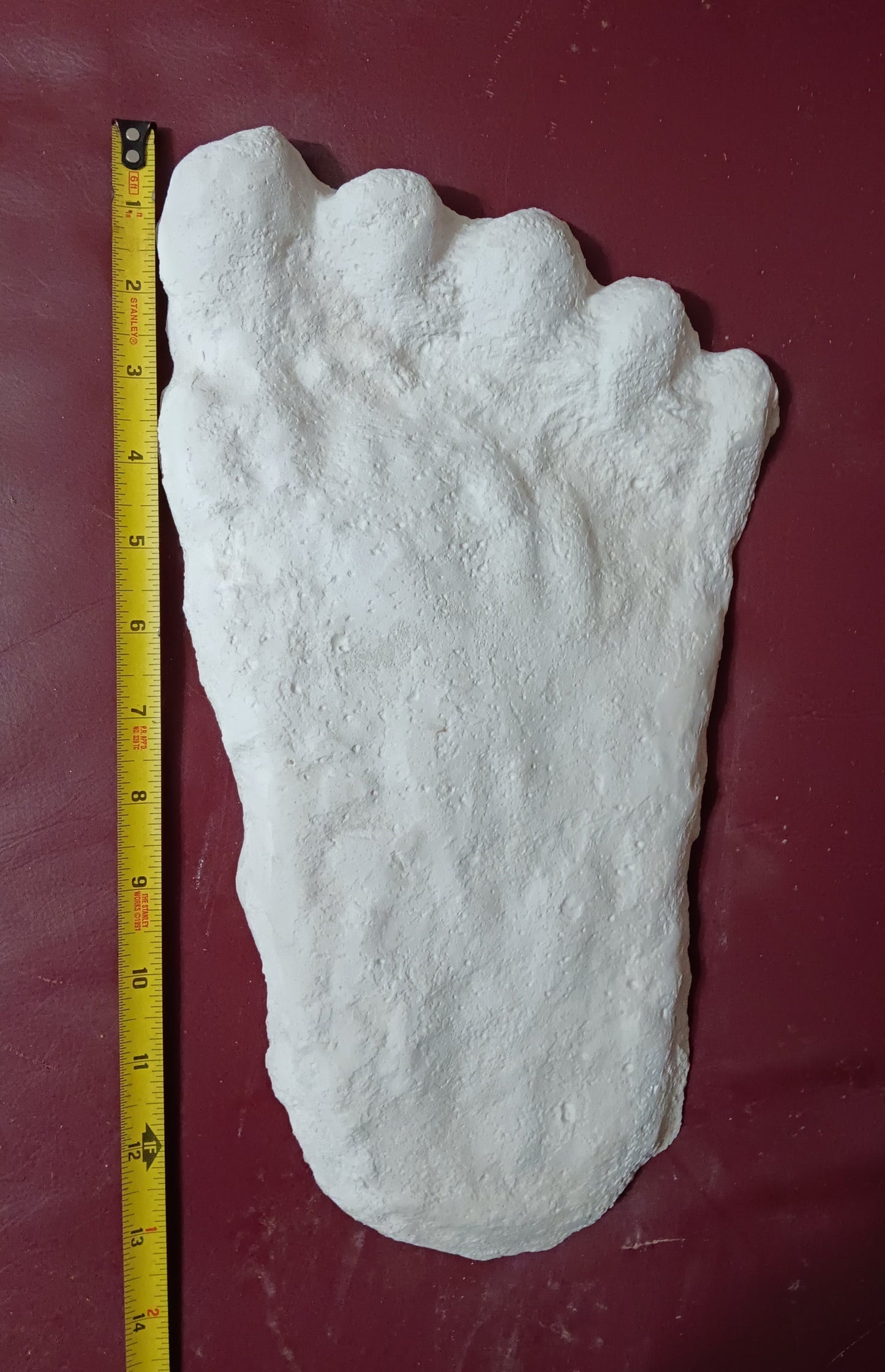 1960 Bigfoot cast Peter Byrne Bigfoot print cast (Byrne not Burn)