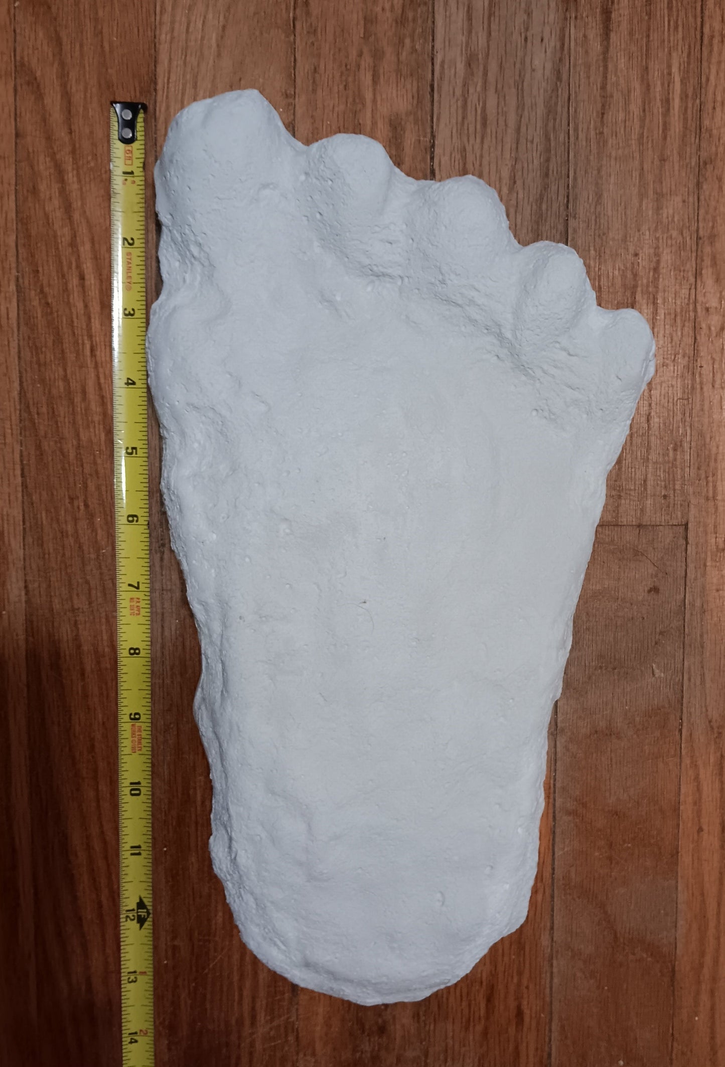 1960 Bigfoot cast Peter Byrne Bigfoot print cast (Byrne not Burn)