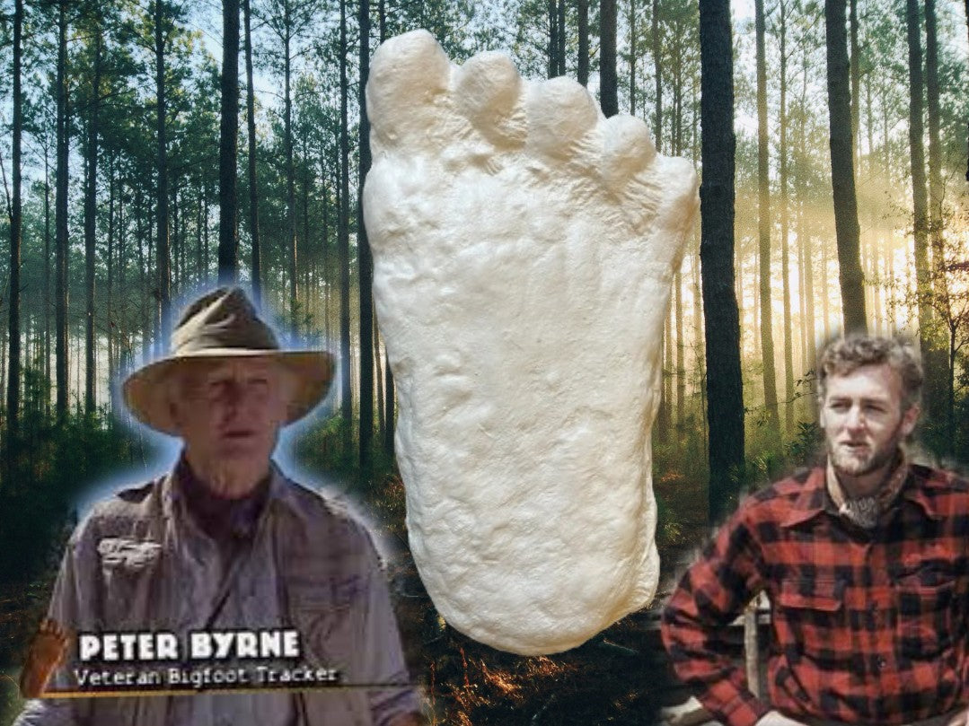 1960 Bigfoot cast Peter Byrne Bigfoot print cast (Byrne not Burn)