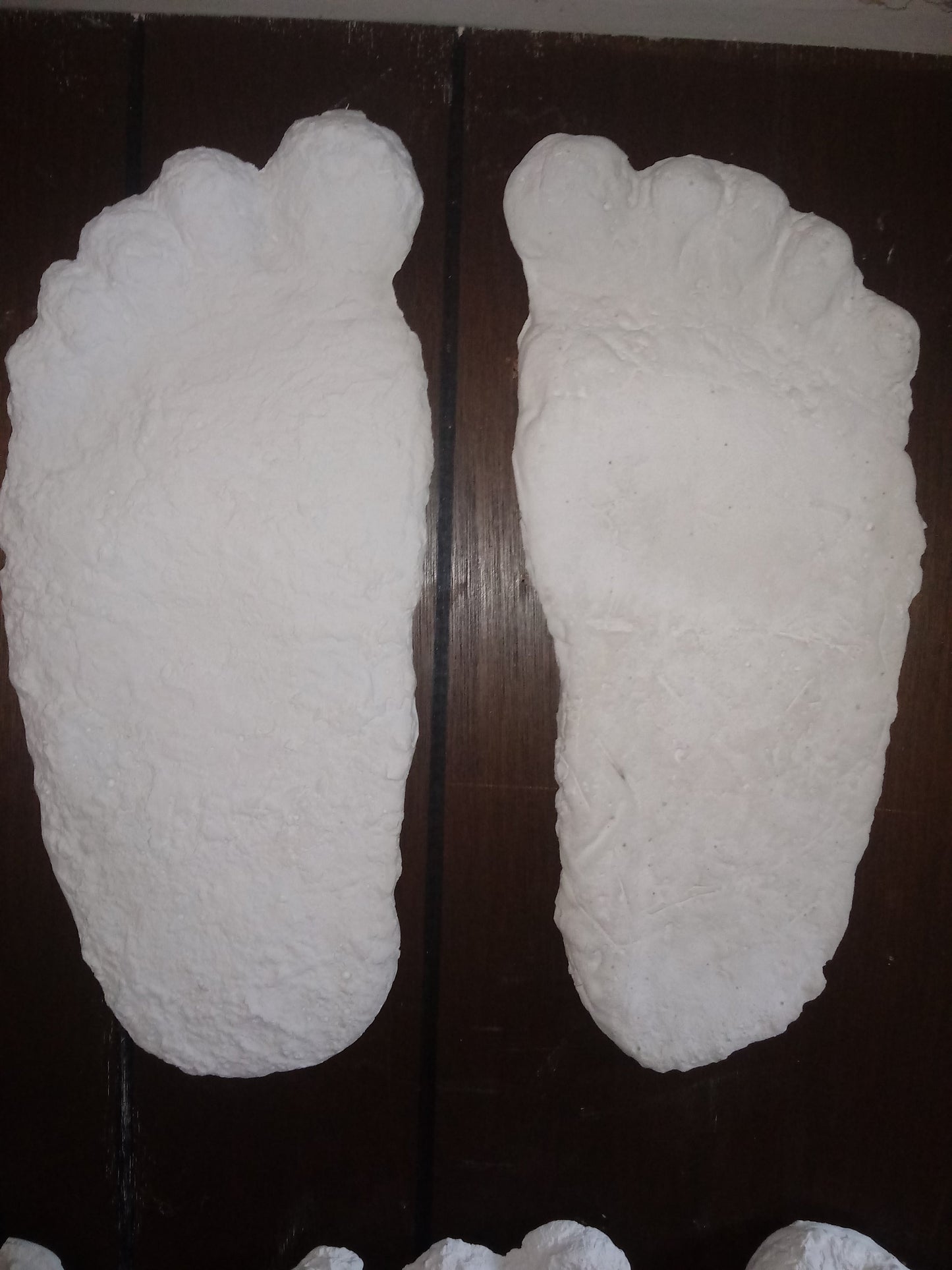1963 Laird Meadow road Bigfoot cast replica track