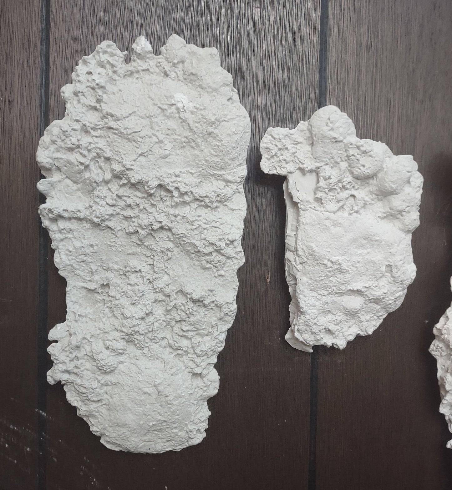 1991 Bigfoot Oil City, Pa. Sasquatch, Yeti, Full Foot and Heel Cast Set (1991 Oil City, PA. 1991