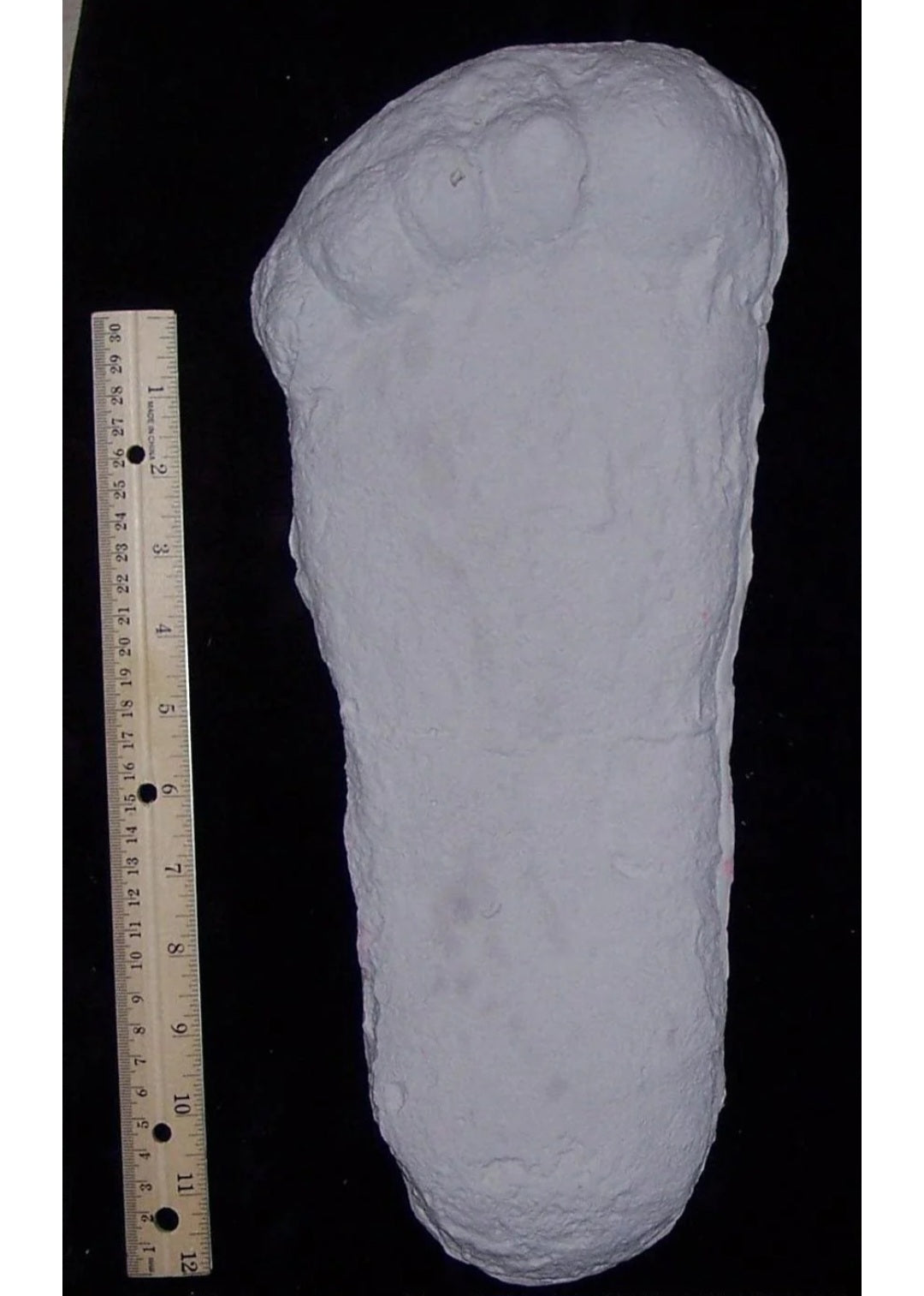 1967 Bigfoot cast replica print # CA-10 SI 3900422 K1725 (1967)