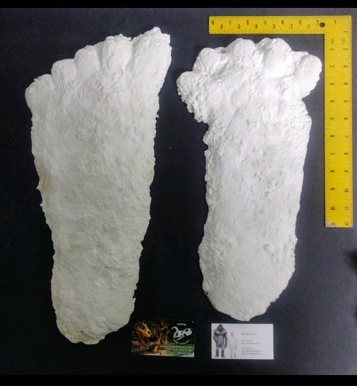 1963 Hyampom Bigfoot (Sasquatch) footprint cast B