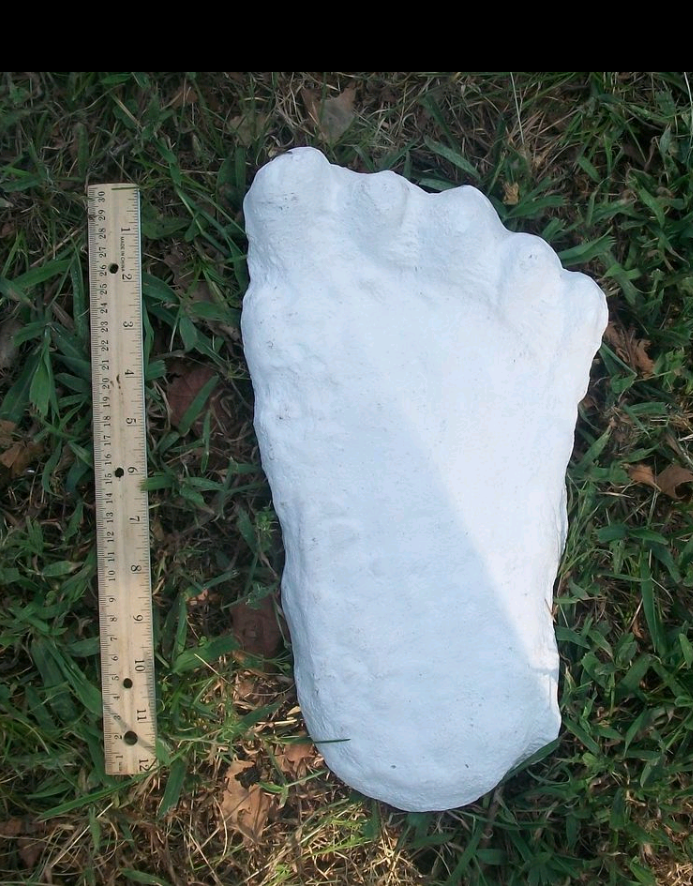 1960 Bigfoot cast Peter Byrne Bigfoot print cast (Byrne not Burn)