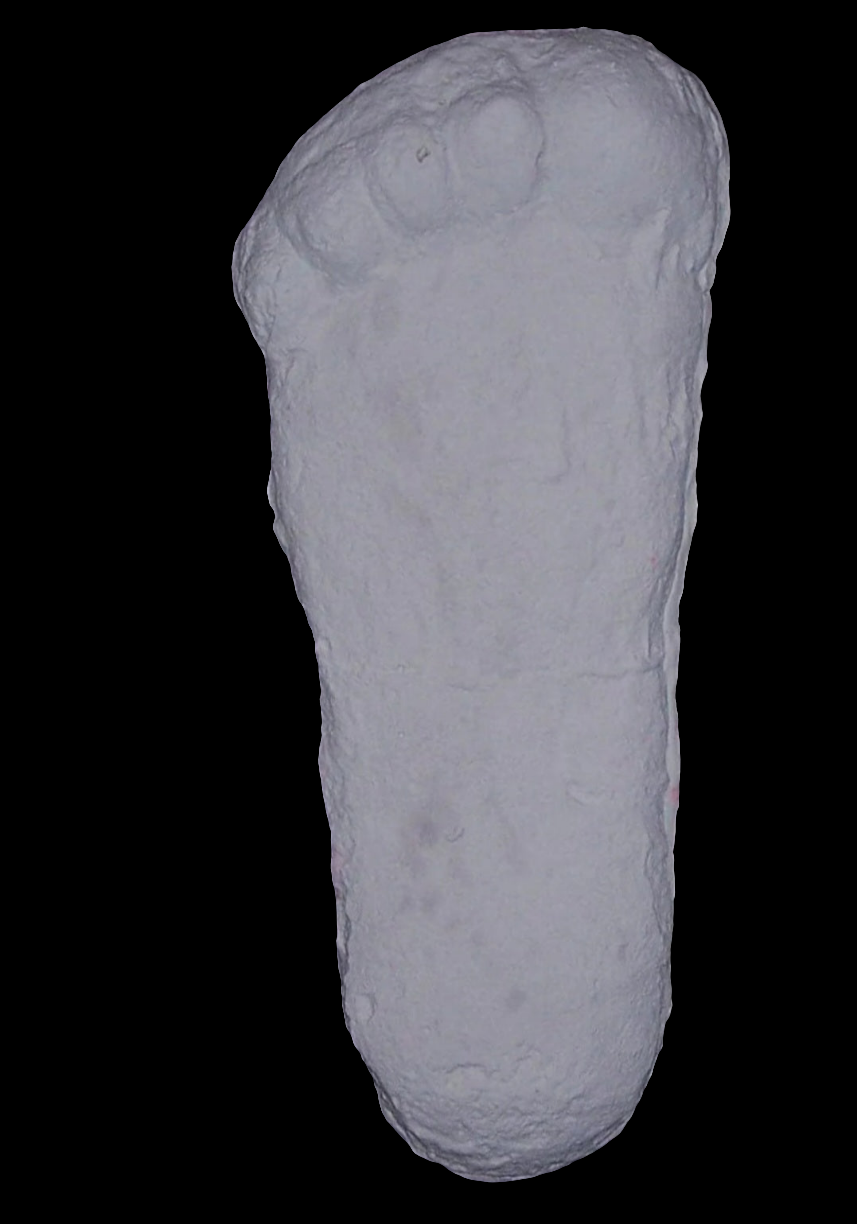 1967 Bigfoot cast replica print # CA-10 SI 3900422 K1725 (1967)