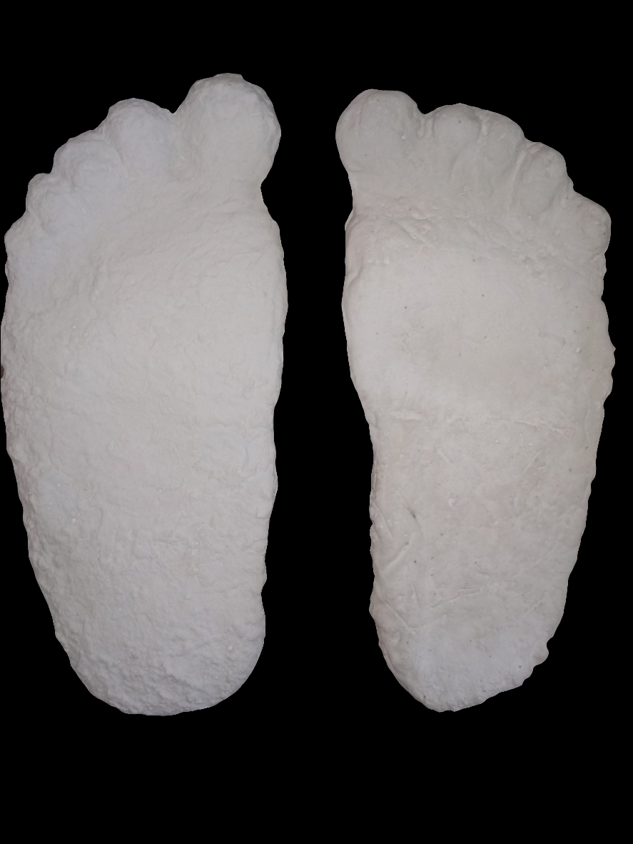 1963 Laird Meadow road Bigfoot cast replica track