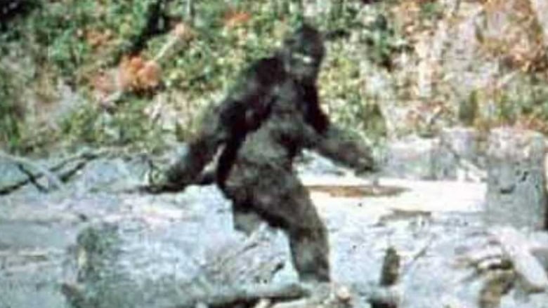 1 Bigfoot Patterson Patty track footprint cast Plaster Bigfoot Cast Track Replica