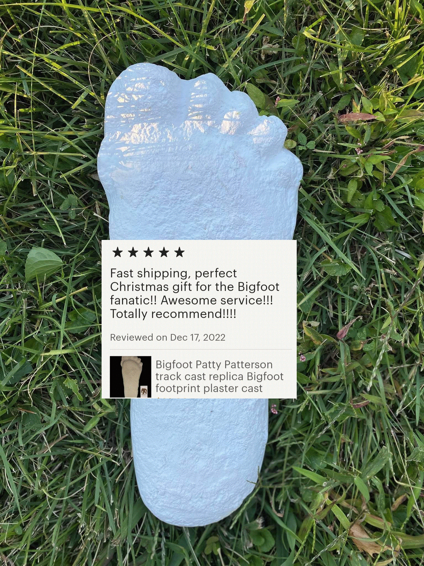 1 Bigfoot Patterson Patty track footprint cast Plaster Bigfoot Cast Track Replica