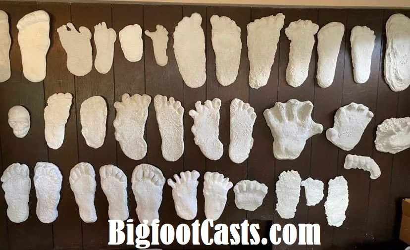 1 Bigfoot Patterson Patty track footprint cast Plaster Bigfoot Cast Track Replica