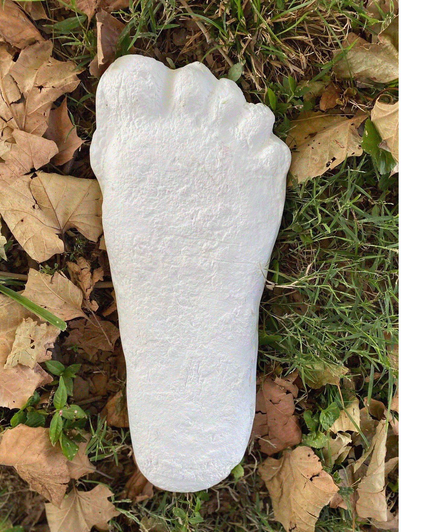 1 Bigfoot Patterson Patty track footprint cast Plaster Bigfoot Cast Track Replica