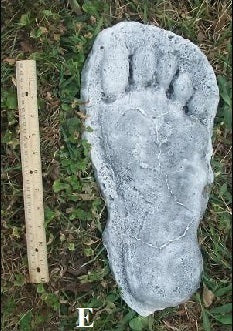 1982 Grays Harbor Hereford Bigfoot print cast E