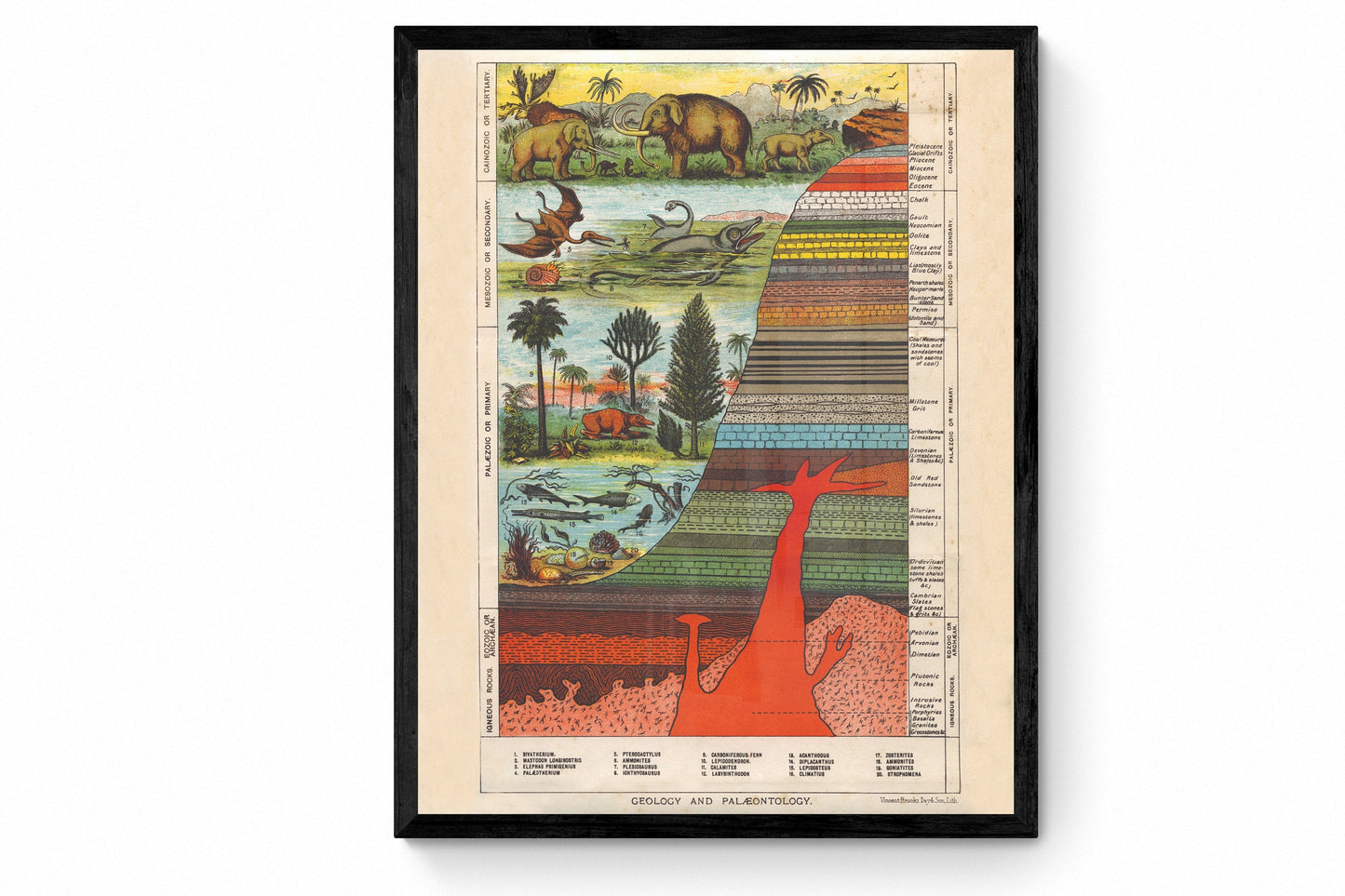 Geology and Palaentology Print