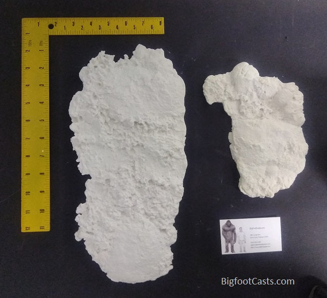 1991 Bigfoot Oil City, Pa. Sasquatch, Yeti, Full Foot and Heel Cast Set (1991 Oil City, PA. 1991