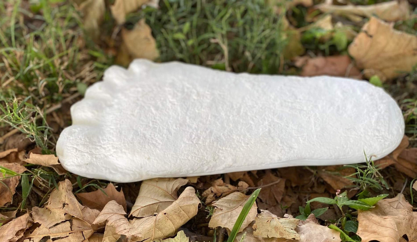 1 Bigfoot Patterson Patty track footprint cast Plaster Bigfoot Cast Track Replica