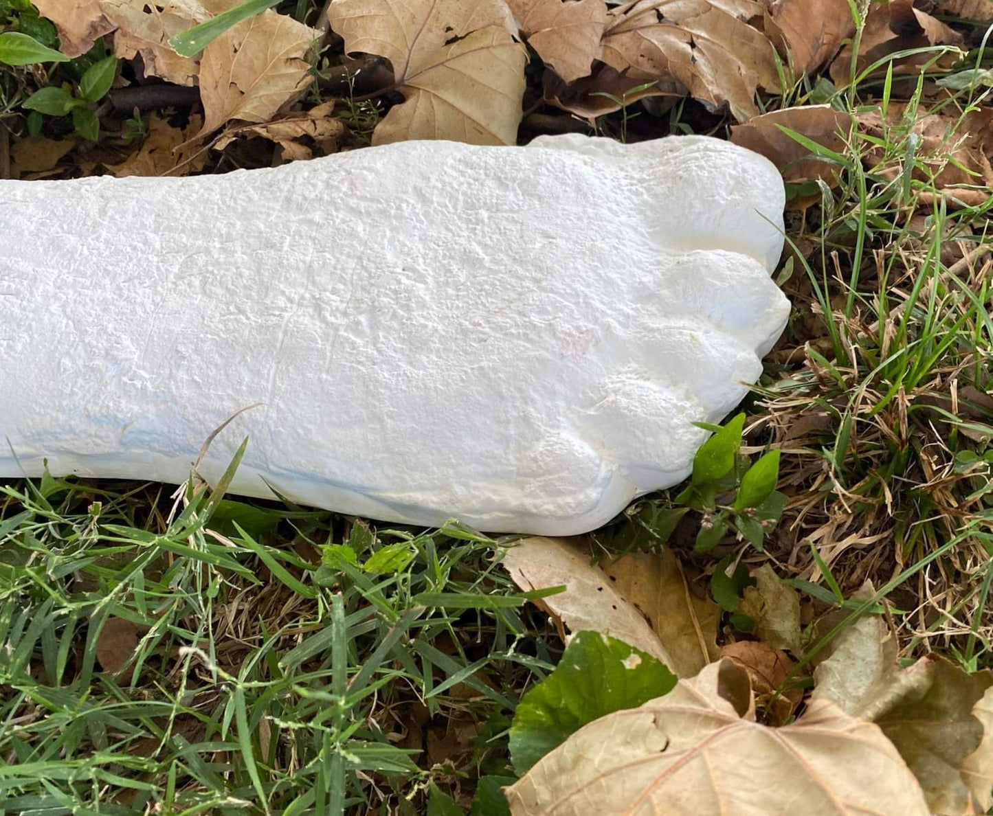 1 Bigfoot Patterson Patty track footprint cast Plaster Bigfoot Cast Track Replica