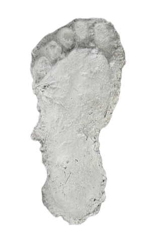 1982 Grays Harbor F Hereford Bigfoot print cast F Limited Edition