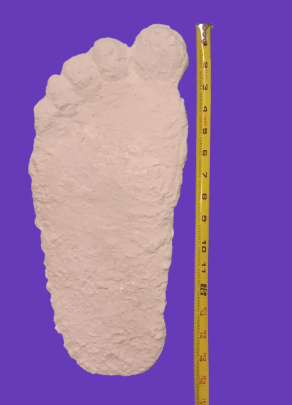 1963 Graves Bigfoot cast replica track
