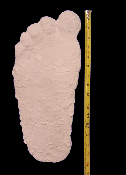 1963 Graves Bigfoot cast replica track