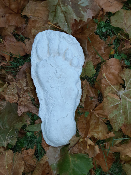 1982 Grays Harbor Hereford Bigfoot print cast E