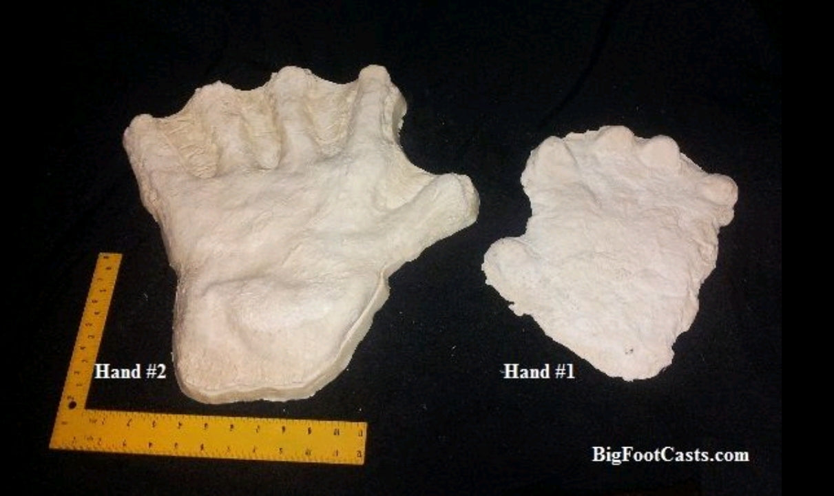1970s  Bigfoot hand cast #2: XL hand (1970)
