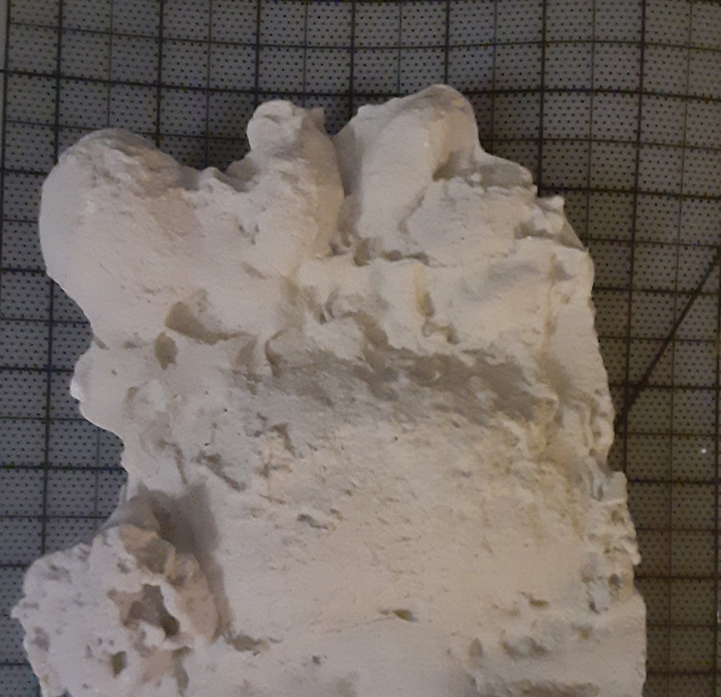 1995 Rawley Springs, Virginia Bigfoot cast replica