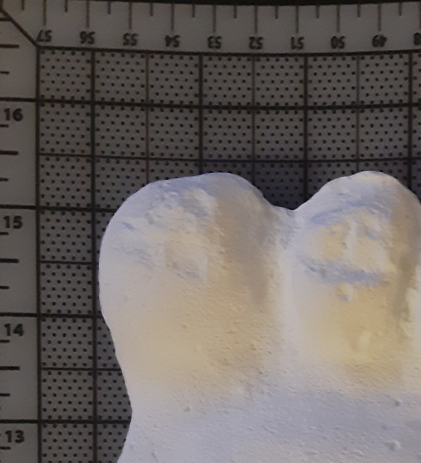 1967 Bigfoot Gimlin / Titmus cast 10/29/1967