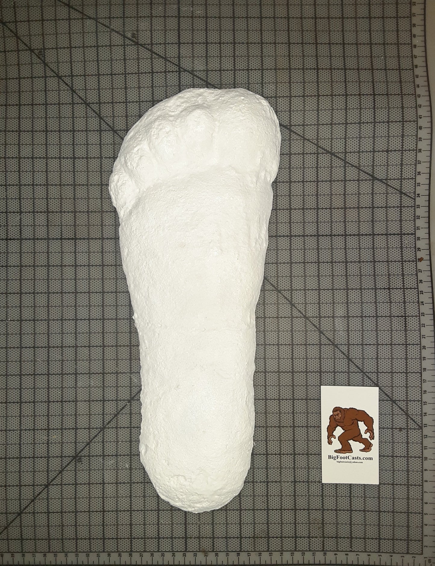 1967 Bigfoot cast replica print # CA-10 SI 3900422 K1725 (1967)