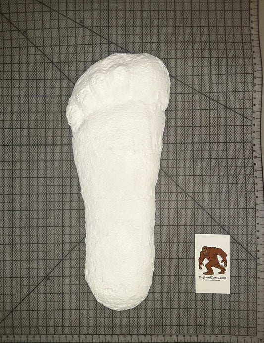 1967 Bigfoot cast replica print # CA-10 SI 3900422 K1725 (1967)