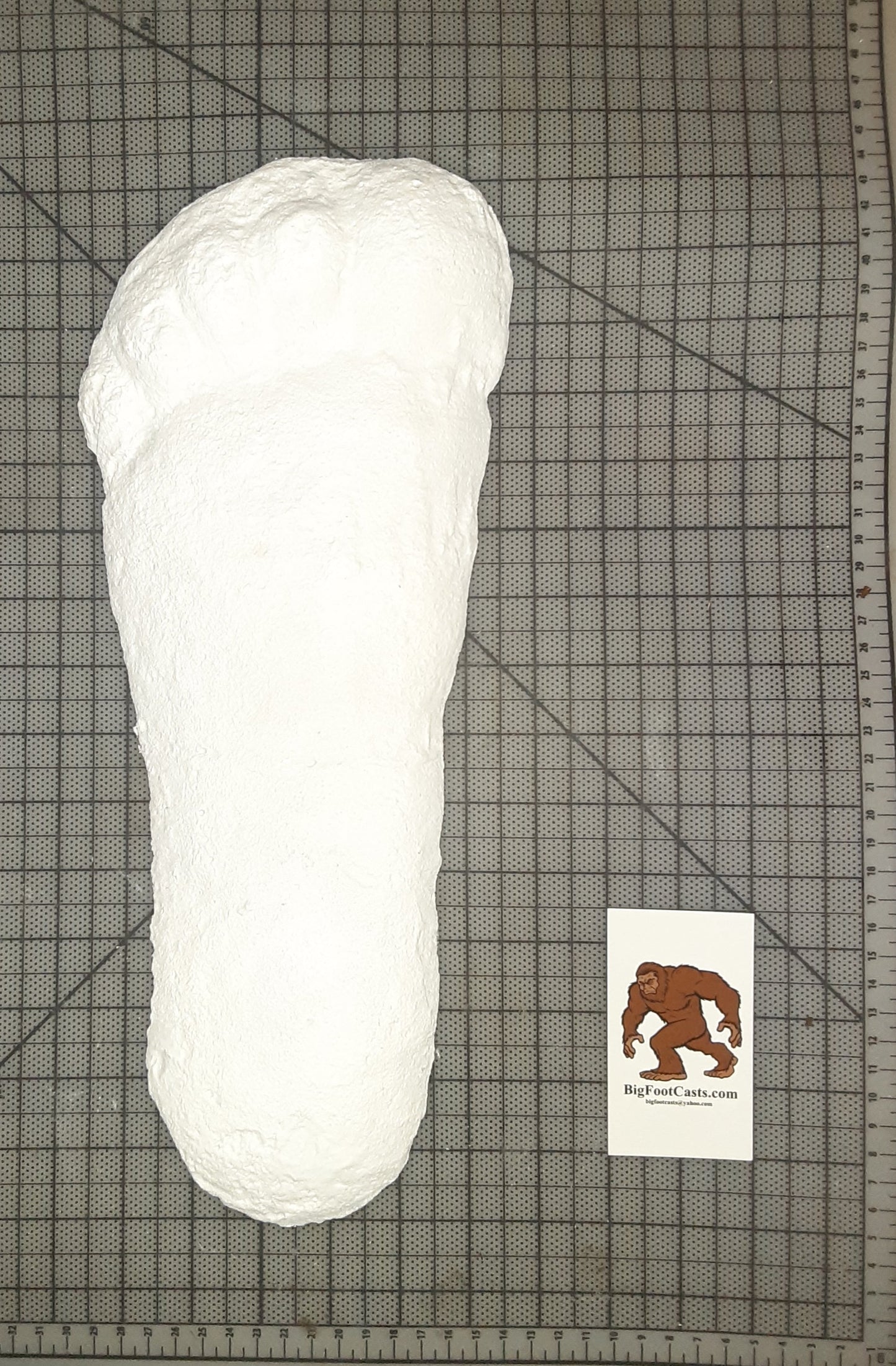 1967 Bigfoot cast replica print # CA-10 SI 3900422 K1725 (1967)