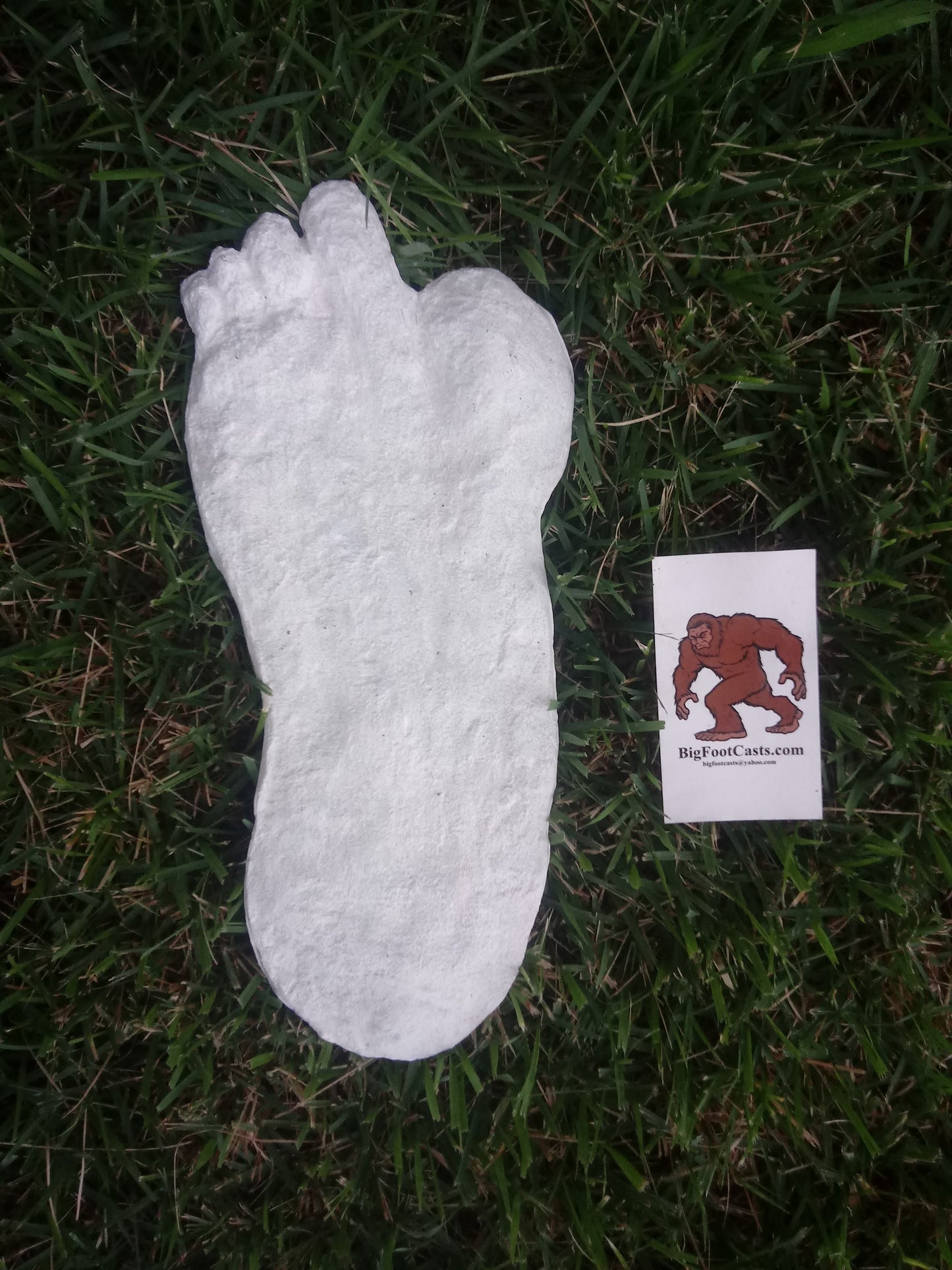 1951 Yeti #2 footprint cast replica track