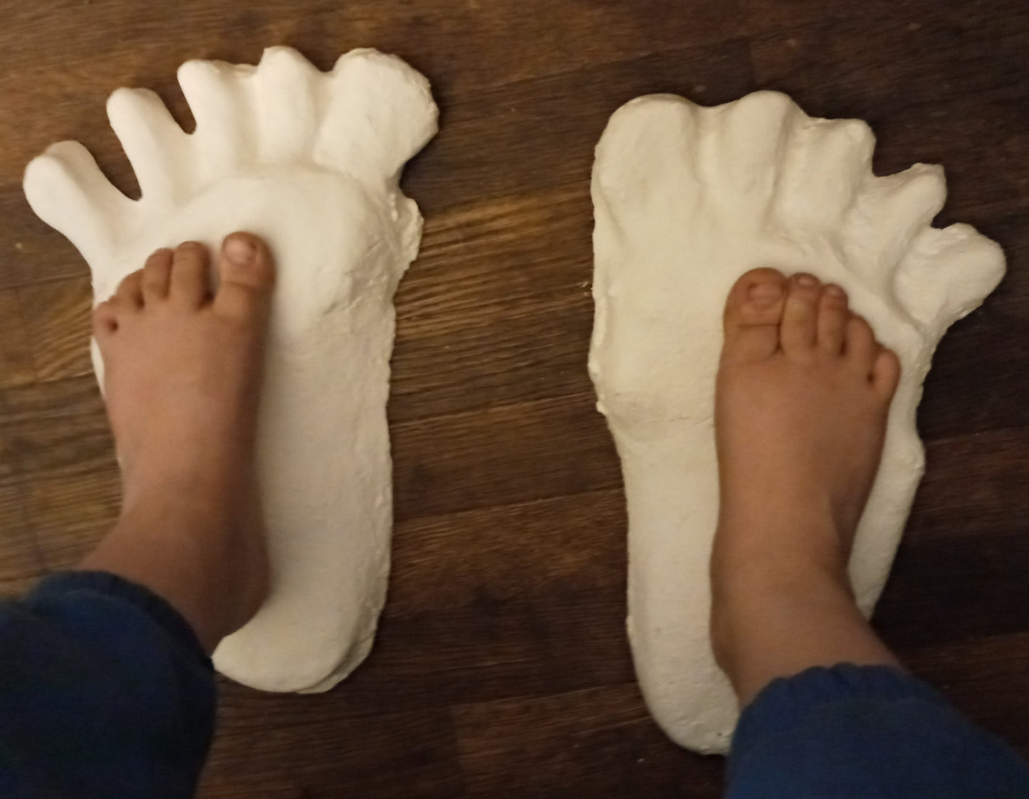 1984 Paul Freeman's Wrinkle Foot cast  A Bigfoot Sasquatch footprint track cast replicas