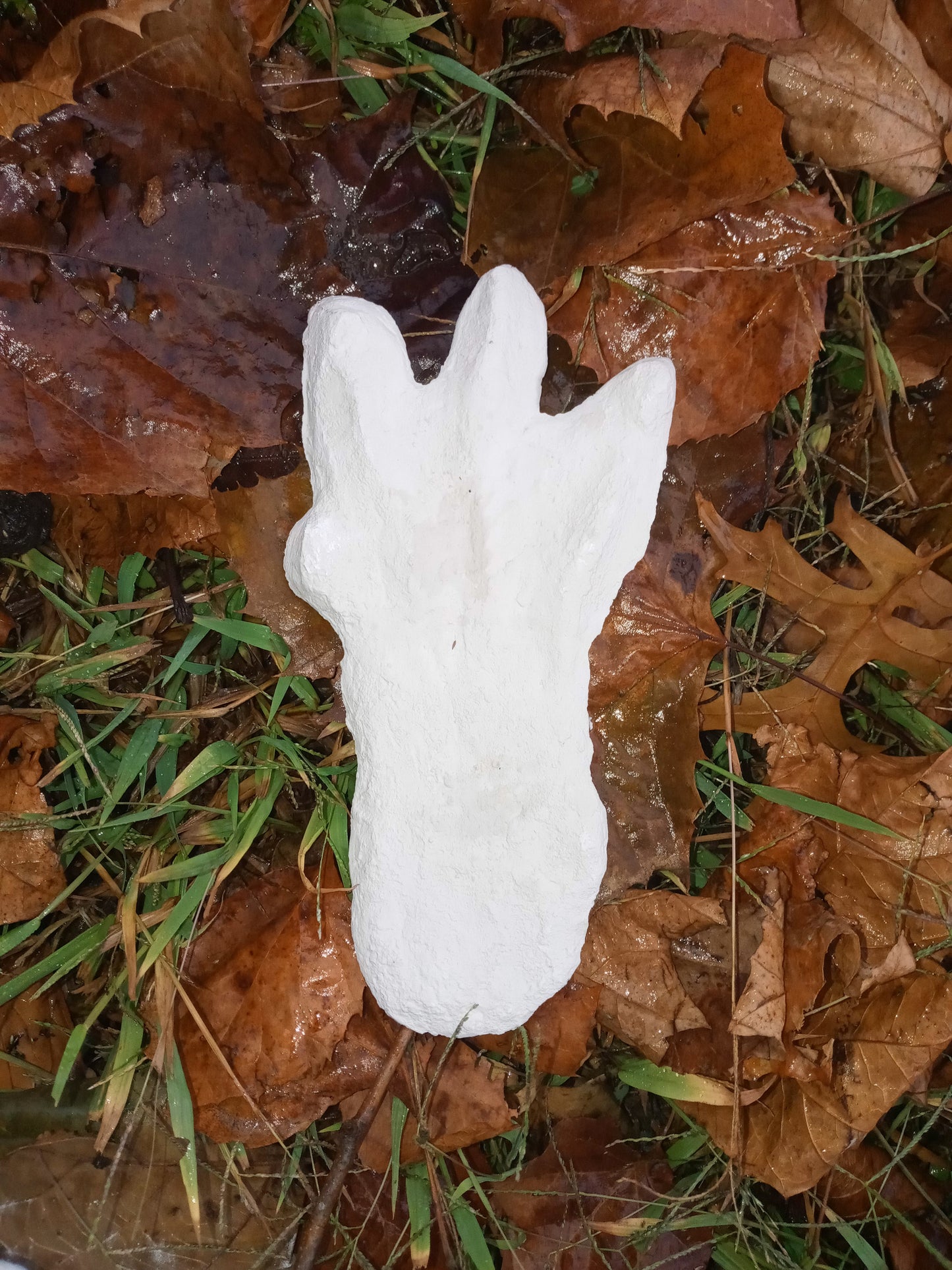 1974 Honey Island Swamp Monster Track Cast Replica footprint impression Cryptozoology Cryptid
