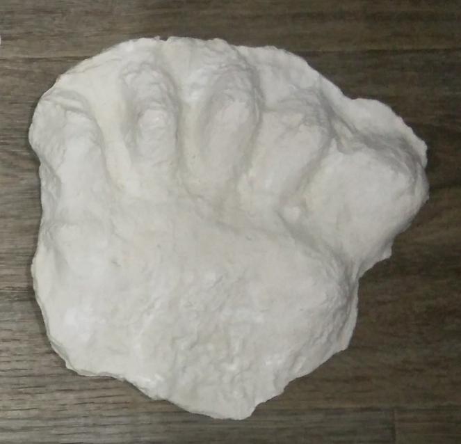 1963 Hyampom C cast Bigfoot (Sasquatch) cast