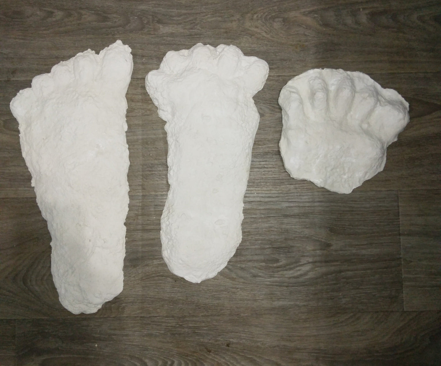 1963 Hyampom C cast Bigfoot (Sasquatch) cast