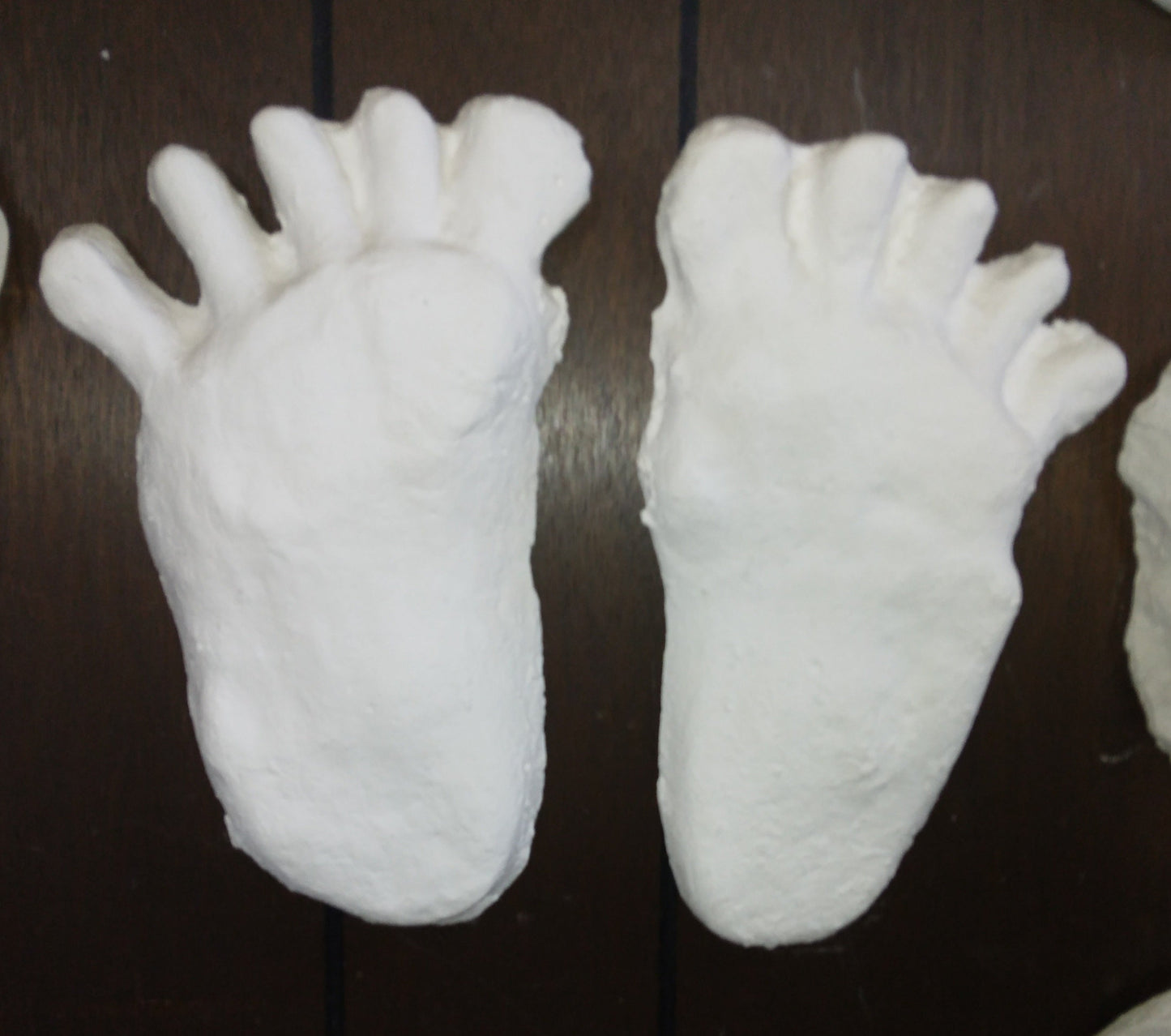1984 Paul Freeman's Wrinkle Foot cast  A Bigfoot Sasquatch footprint track cast replicas
