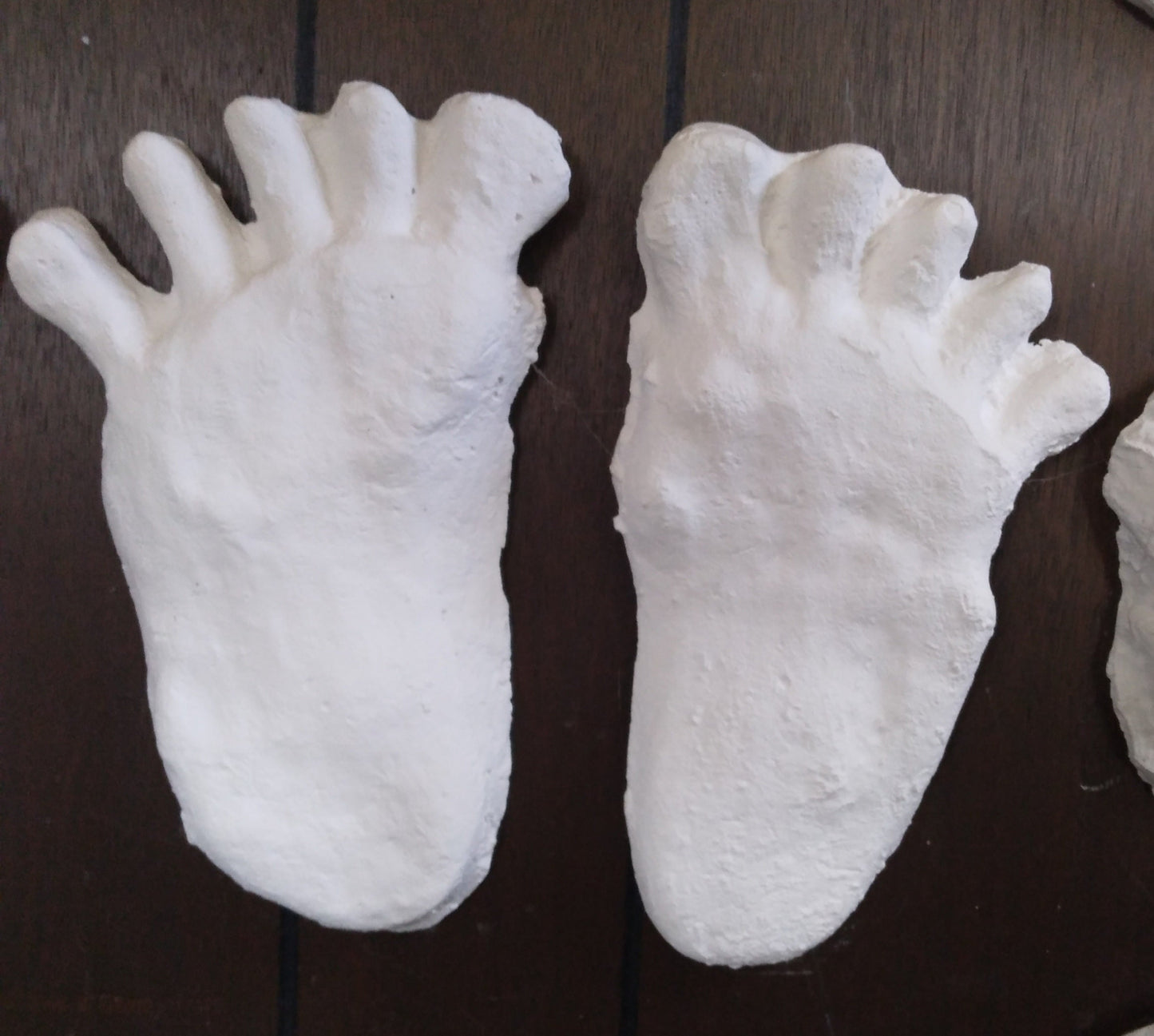 1984 Paul Freeman's Wrinkle Foot cast  A Bigfoot Sasquatch footprint track cast replicas
