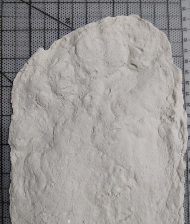 1967 Onion Mountain (Blue Creek) John Green Bigfoot cast replica