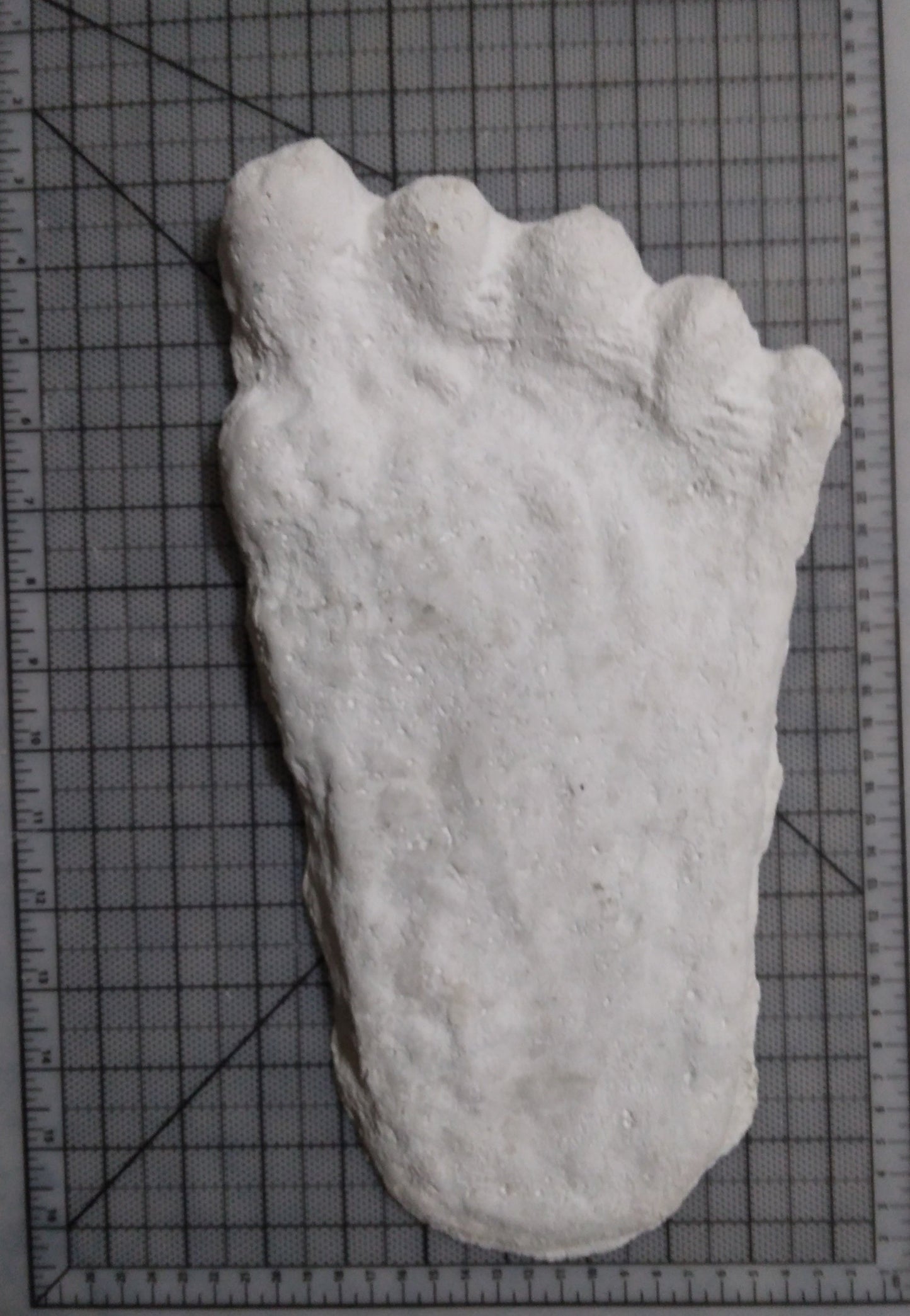 1960 Bigfoot cast Peter Byrne Bigfoot print cast (Byrne not Burn)