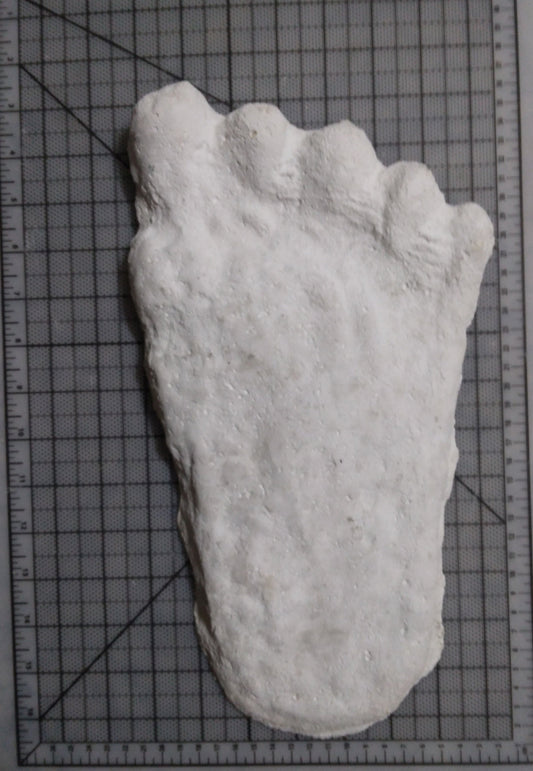 1960 Bigfoot cast Peter Byrne Bigfoot print cast (Byrne not Burn)