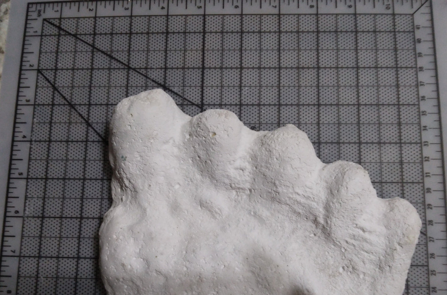 1960 Bigfoot cast Peter Byrne Bigfoot print cast (Byrne not Burn)
