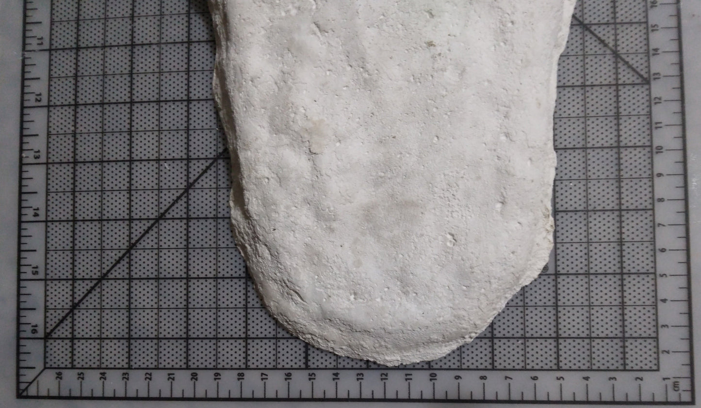 1960 Bigfoot cast Peter Byrne Bigfoot print cast (Byrne not Burn)