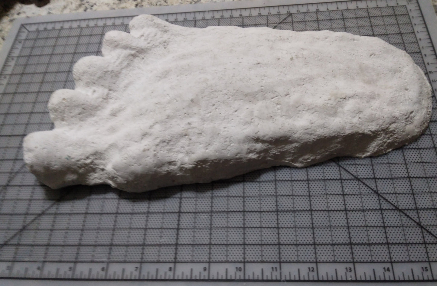 1960 Bigfoot cast Peter Byrne Bigfoot print cast (Byrne not Burn)
