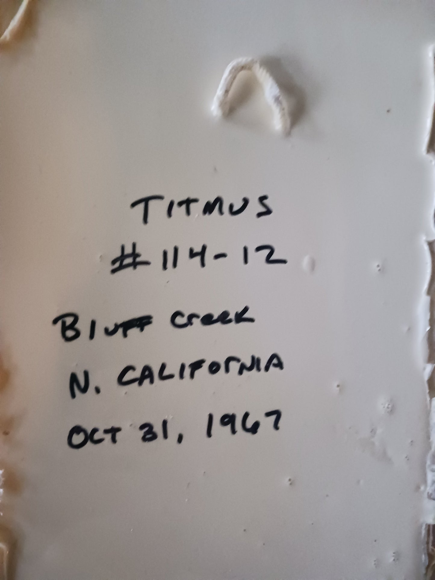 1967 Patterson / Titmus cast #114-12 Bigfoot print cast