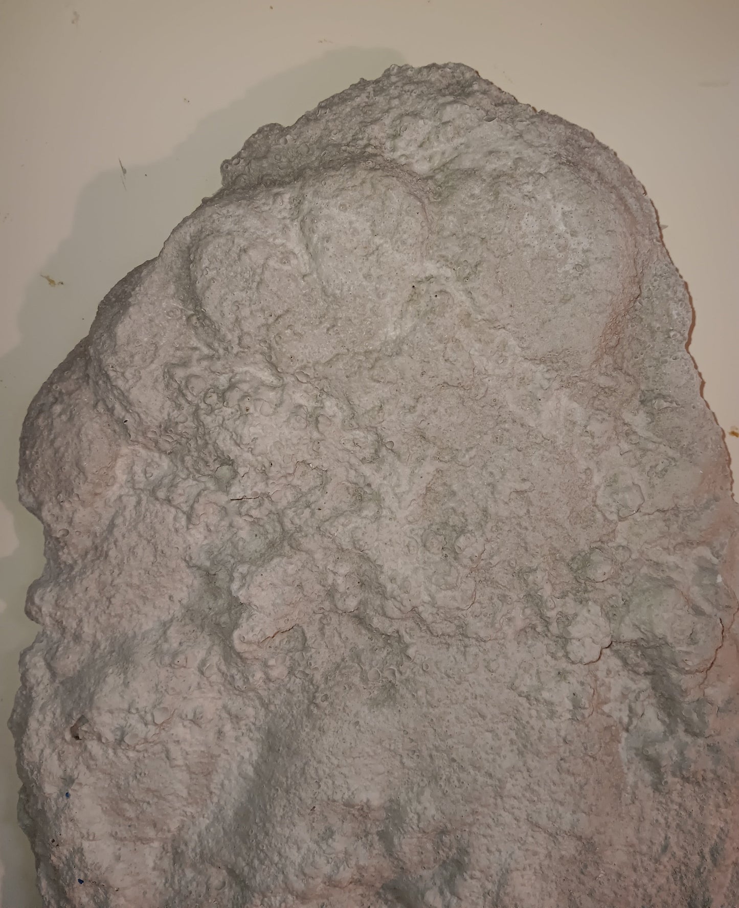 1967 Patterson / Titmus cast #114-12 Bigfoot print cast