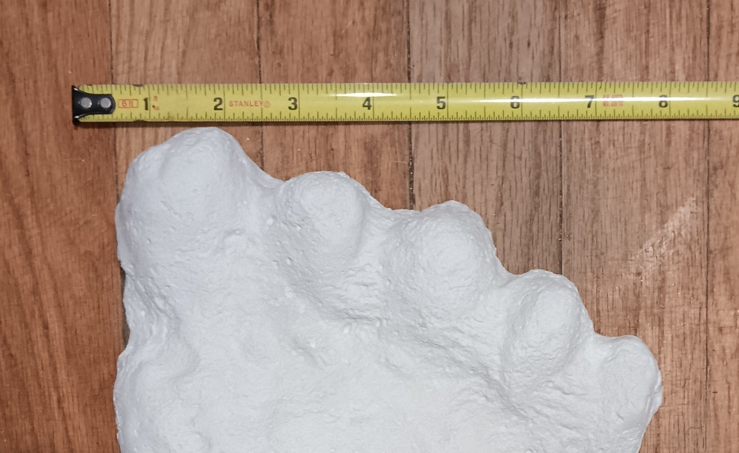 1960 Bigfoot cast Peter Byrne Bigfoot print cast (Byrne not Burn)