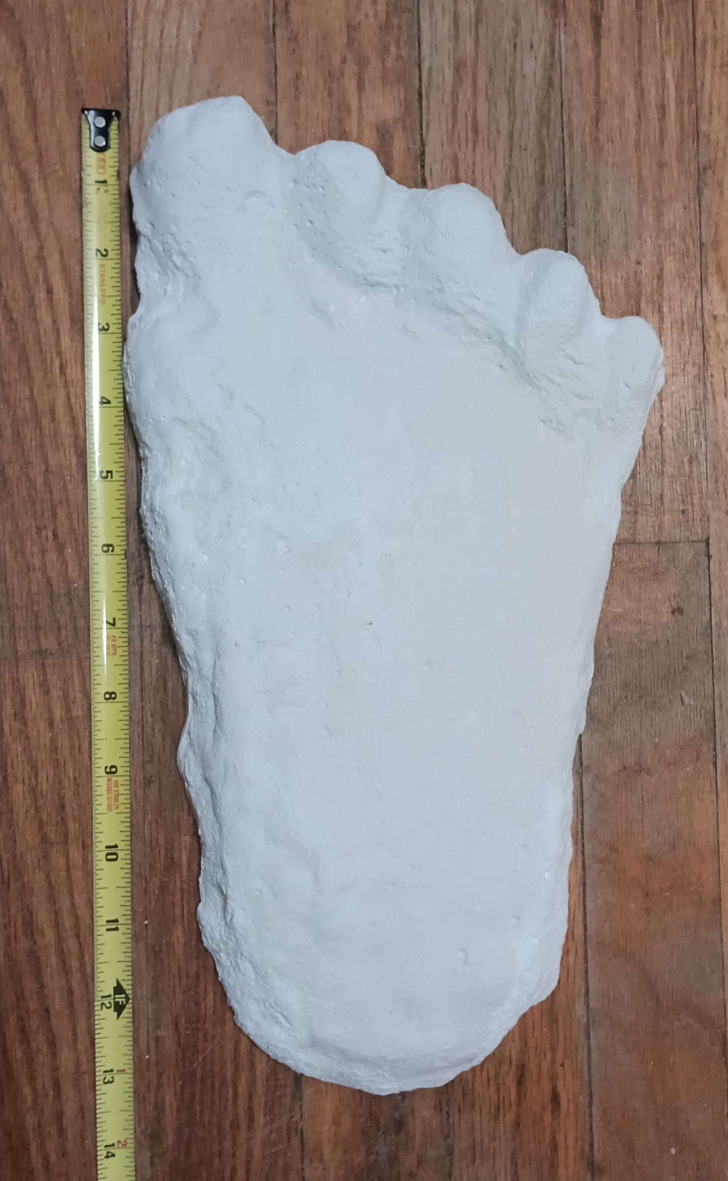 1960 Bigfoot cast Peter Byrne Bigfoot print cast (Byrne not Burn)