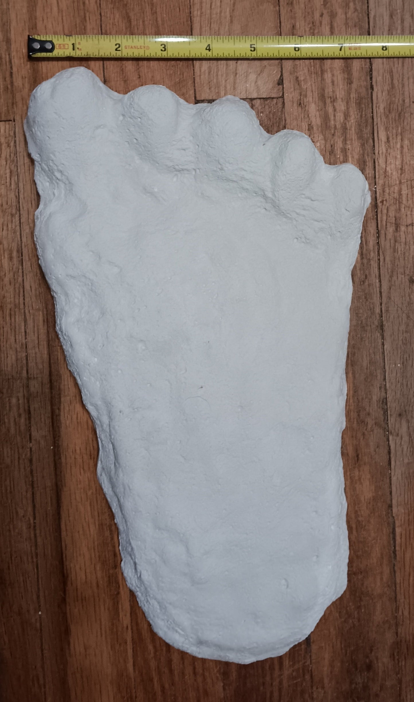 1960 Bigfoot cast Peter Byrne Bigfoot print cast (Byrne not Burn)