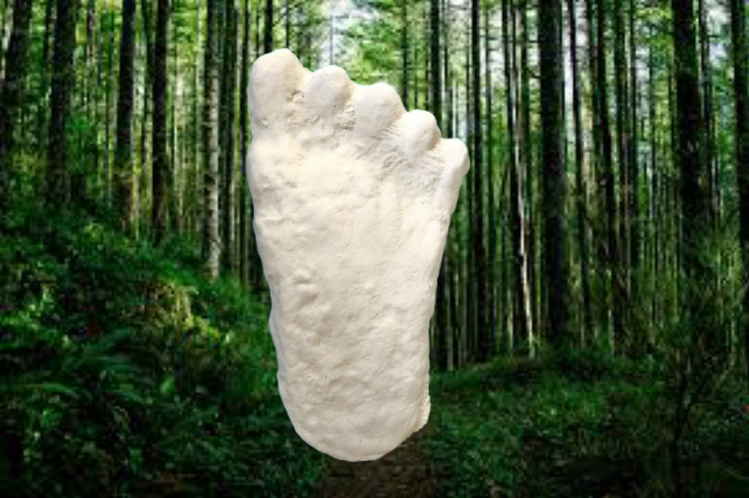 1960 Bigfoot cast Peter Byrne Bigfoot print cast (Byrne not Burn)